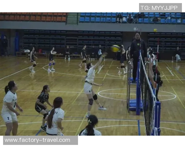 成都排球队的阵地战揭秘:深度解析排球技战术与团队协作的完美结合