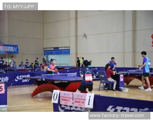 南京乒乓球队的训练与竞技状态全景揭秘探讨乒乓球的魅力与发展